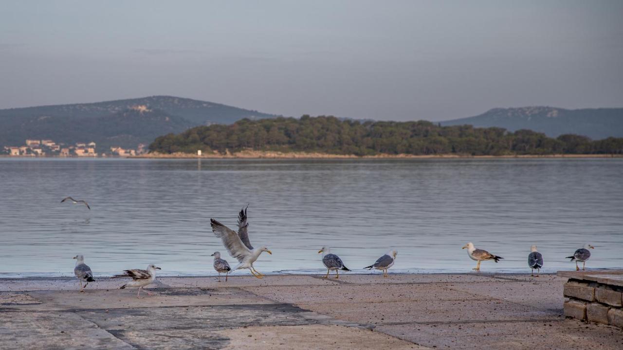 Apartmani Dina Biograd Na Moru Buitenkant foto