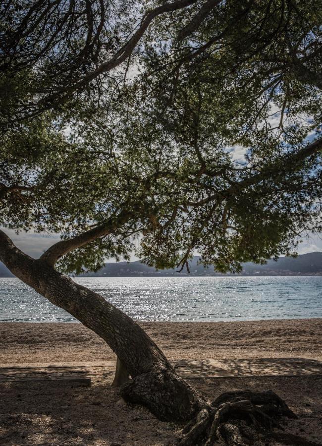 Apartmani Dina Biograd Na Moru Buitenkant foto