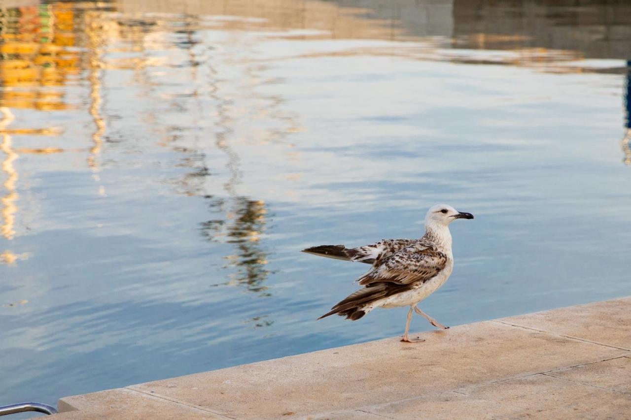 Apartmani Dina Biograd Na Moru Buitenkant foto