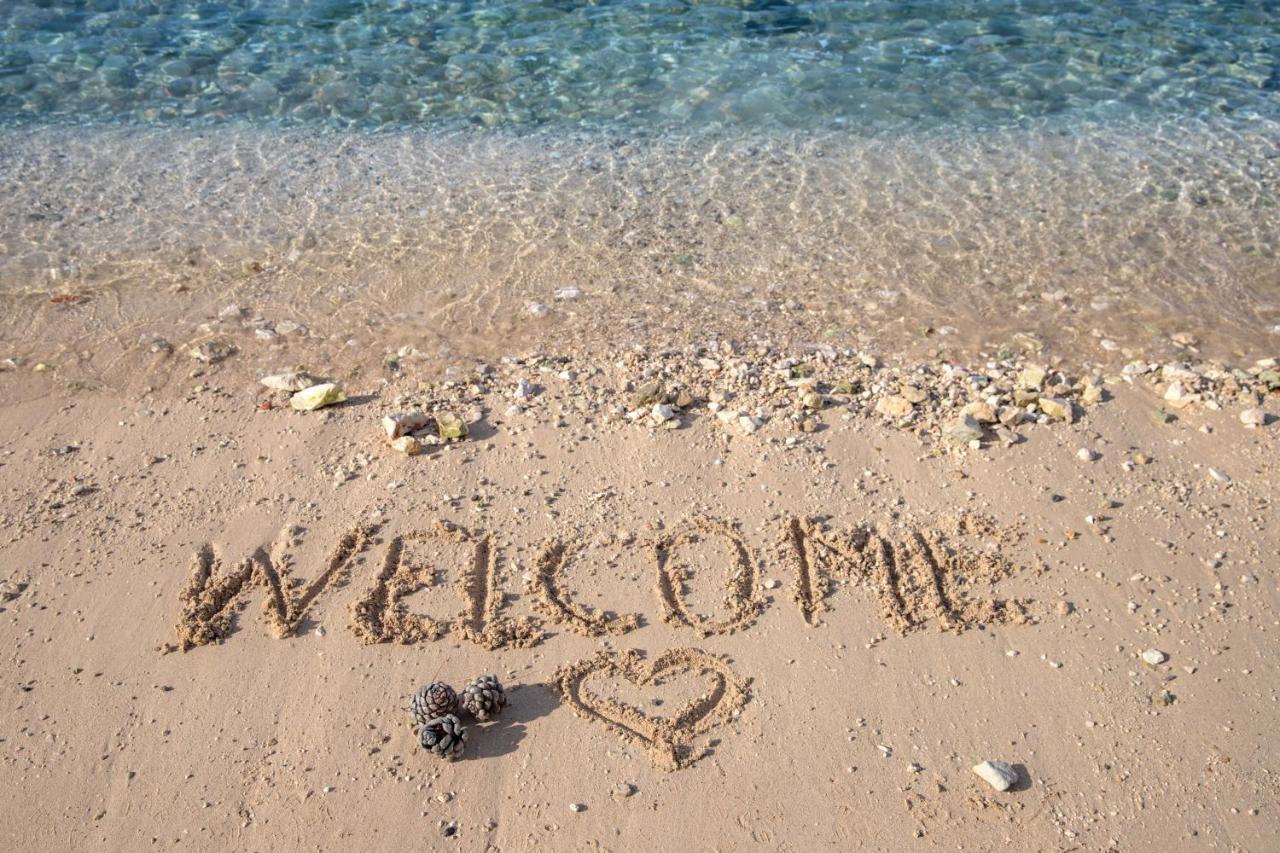 Apartmani Dina Biograd Na Moru Buitenkant foto